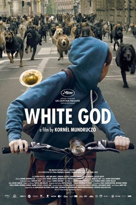 什么是白色上帝